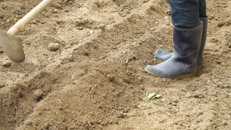 Man-in-rubber-boots-digs-vegetable-patches-with-Long-handled-Japanese-Garden-Hoe