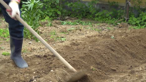 Person-In-Black-Boots-Cultivating-Soil-With-A-Shovel-For-Planting-Paper-Mulberry