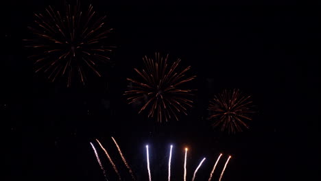 Coconut-fireworks-on-black-sky-background