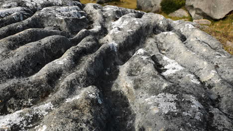 Close-up-shot-of-limestone-rock-formation-on-Castle-Hill-Conservation-Area-in-New-Zealand-during-sunny-day