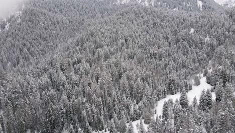 Aerial-View-Over-Snowy-Winter-Forest-Scene,-American-Fork-Canyon,-Utah