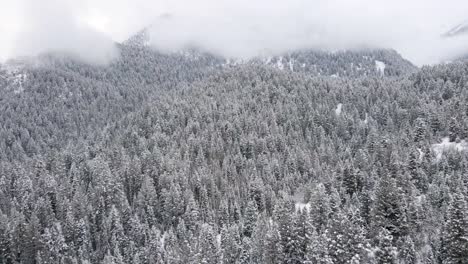 Snowy-winter-mountain-forest-in-Utah's-Wasatch-Range,-aerial-winter-landscape