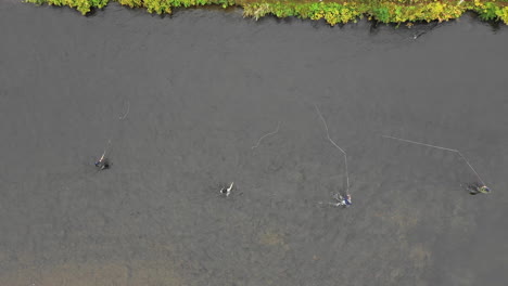 Top-Down-Aerial-shot-of-Fly-Fisherman-Casting-Along-Scenic-Salmon-River-in-Pulaski,-NY