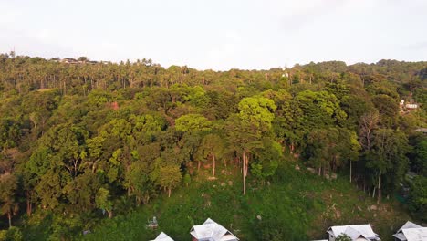Aerial-panoramic-view-of-Phi-Phi-Don-village-on-edges-of-its-large-forest