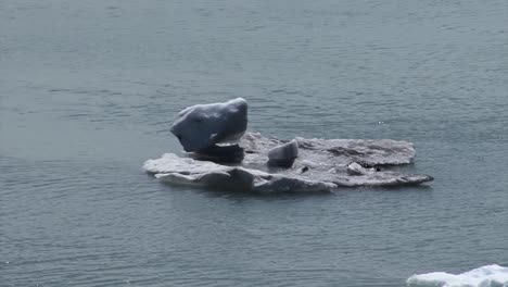 Pequeño-Iceberg-Flotando-En-Las-Aguas-De-La-Bahía-Del-Parque-Nacional-De-La-Bahía-De-Los-Glaciares,-Alaska