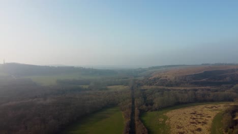 Drone-flight-over-Bishopsbourne-line-forest-and-with-blue-sky