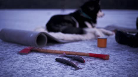 Two-Pieces-Of-Fish-Next-To-An-Axe---Fisherman-Drinking-Coffee-With-His-Dog-On-Frozen-Lake-In-Winter-Fishing-Near-Trondheim,-Norway