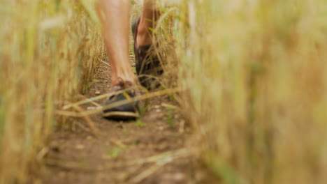 Feet-shoes-of-young-man-walking-on-farmers-field-farm-lane-between-crops-wheat-oat-plants-in-nature-dirty-ground-revealing-summer-hill-playing-inspecting-thinking-tall-grass-agro-culture-go-sunny-feel