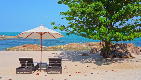 Caribbean-serenity,-empty-beach-chairs-under-parasol,-tree-shade-and-sea-view
