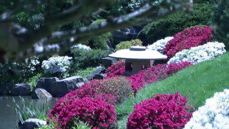 Japanese-snow-lantern-and-azalea-bushes-in-bloom,-bordering-a-pond