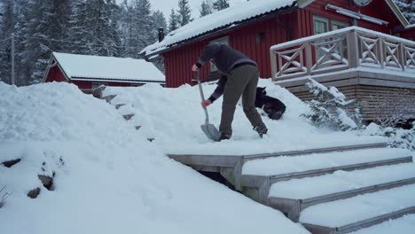 El-Hombre-Está-Quitando-Nieve-De-Las-Escaleras-Después-De-La-Tormenta-De-Nieve-Con-Su-Mascota-Malamute-De-Alaska-Cerca-Del-País-De-Trondheim,-Noruega