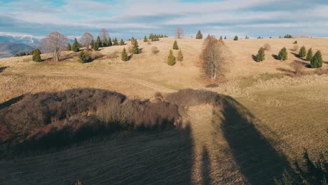 AERIAL-Racing-drone-flying-between-trees-approaching-a-lone-tree-on-the-top-of-a-hill-during-a-sunset-in-late-autumn
