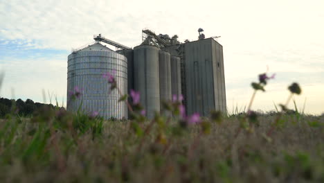 With-spring-flowers-in-the-foreground,-a-large-grain-silo-dominates-the-countryside-landscape---focus-pull