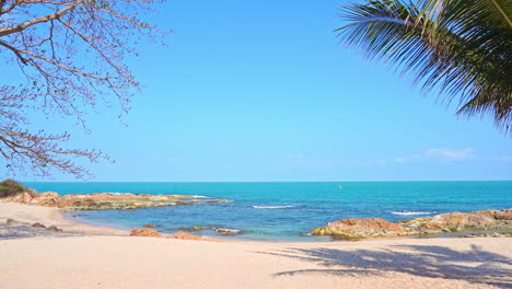 Palm-Tree-branch-At-Exotic-Sandy-Beach-Uninhabited-Island-Daytime-sunny-Weather