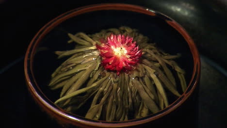 Jasmine-blooming-tea-"flower"-expands-in-tea-cup-in-time-lapsed-motion
