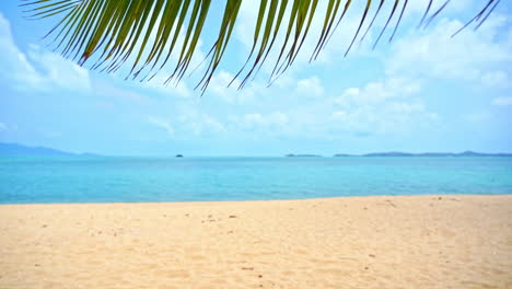 Playa-Tropical-En-Una-Isla-Exótica,-Hojas-De-Palmera-Ondeando-En-El-Viento