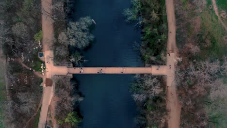 Overhead-drone-view-of-people-and-bikers-crossing-pedestrian-bridge-over-water-on-trail-in-Austin,-Texas