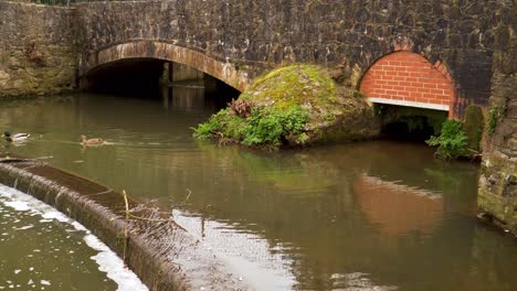 4K-old-pedestrian-stone-bridge-over-one-affluent-of-the-river-tone-in-Taunton-Somerset