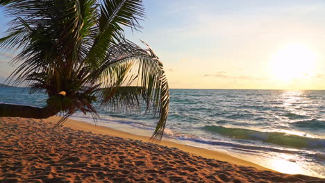 A-light-sea-breeze-blows-the-fronds-of-a-palm-tree-draped-over-a-sandy-beach