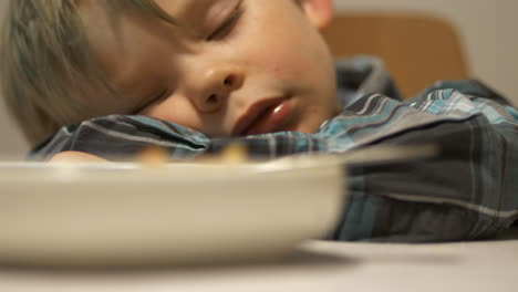 Young-beautiful-boy-kid-is-sleeping-at-dining-table-with-food-in-plate