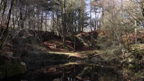 Ein-Alter-Granitsteinbruch,-Heute-Ein-Teich-In-Tollohill-Woods-In-Der-Nähe-Von-Aberdeen,-Schottland