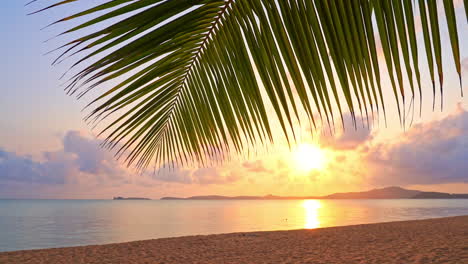 Wunderschöner-Sonnenuntergang-Mit-Blick-Auf-Die-Meereslandschaft,-Neigung-Nach-Unten,-Palmenblatt-Im-Vordergrund