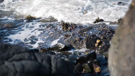 Close-up-of-waves-crashing-on-rocks-at-shore,-slow-motion