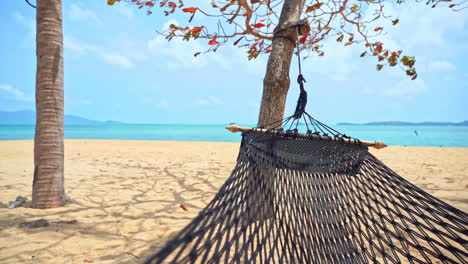 Empty-hammock-between-trees-on-beach-with-sea-in-background