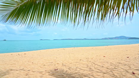 Blue-sea-and-empty-sandy-beach-seen-through-palm-fronds