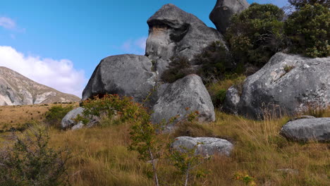 Statische-Ansicht-Von-Felsbrocken-Am-Schlossberg,-Neuseeland-Gegen-Blauen-Himmel-Und-Gelbe-Pflanzen-Im-Vordergrund