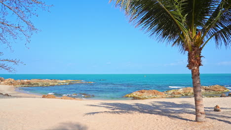 Palme-Am-Weißen-Strand-Mit-Blauem-Meer-Im-Hintergrund
