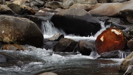 Large-River-stones-in-a-creek-at-Smokey-Mountain-in-Tennessee