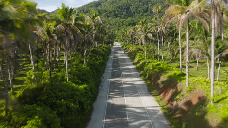 Coconut-Road-Insel-Siargao,-Philippinen