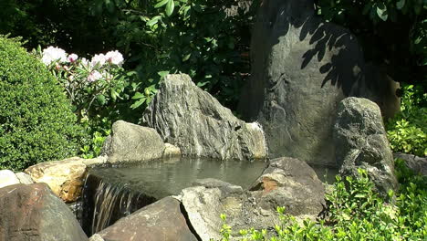 Decorative-rocks-and-plants-at-the-head-of-a-small-waterfall-in-a-Japanese-garden