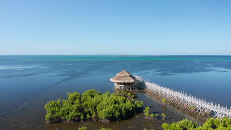 Viewing-point-from-North-Zen-Villas-in-sea-with-bamboo-bridge-through-mangrove-on-Bohol-Island