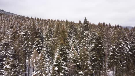 Drone-Shot-Flying-Snowy-Mountain
