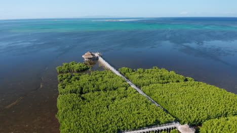 Aerial-showing-an-bamboo-bridge-going-into-the-sea-through-mangrove-in-Panglao,-Boholo,-Philippines