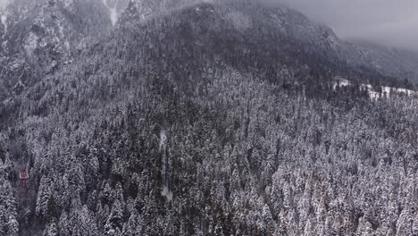Drone-Shot-Of-Mountains-And-Pine-Trees