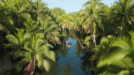 Mann-Springt-In-Maasin-River-Von-Bent-Palmtree-Siargao-Island,-Philippinen