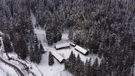 Aerial-Footage-Of-Mountain-Road-And-Pine-Trees-Covered-With-Snow