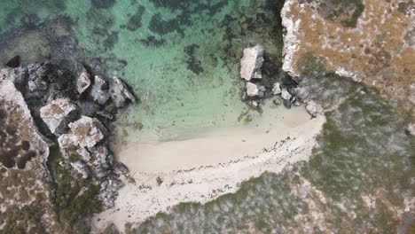 Ascending-aerial-top-down-view-of-deserted-bay-with-turquoise-ocean-water-birds-and-sea-lions-in-WA