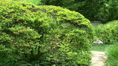 Camera-jibs-from-garden-path-to-stone-lantern-in-Japanese-garden