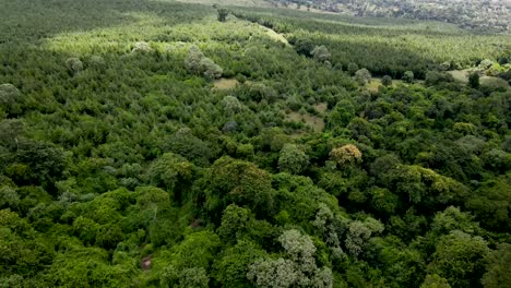 Environmental-conservation-drone-fly-over-the-Africa-forest