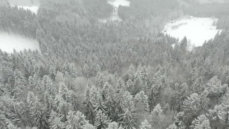 Flying-over-forest,-beautiful-snowy-mountains,-Kohutka,-Czech-Republic