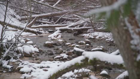 Long-Shot-of-Running-Water-in-a-Creek-with-Fallen-Trees-on-a-Winter-Day