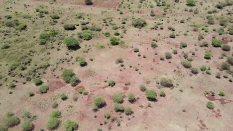Vista-Aérea-dron-De-La-Naturaleza-Africana-Con-Vegetación-Semidesértica-En-Kenia