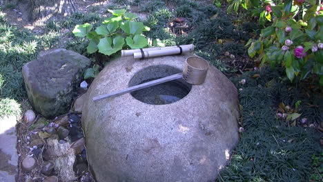 A-rainwater-basin--in-a-Japanese-tea-garden