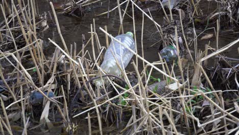Shallow-Stream-Littered-With-Plastic-Bottles-In-Yangjaecheon,-Seoul,-South-Korea---close-up