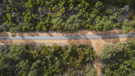Aerial-top-down-flight-along-empty-rural-road-during-sunny-day-surrounded-by-forest-trees
