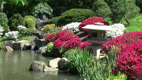 Linternas-De-Piedra-Y-Arbustos-De-Azalea-A-Lo-Largo-Del-Borde-De-Un-Estanque-Koi-En-Un-Jardín-Japonés
